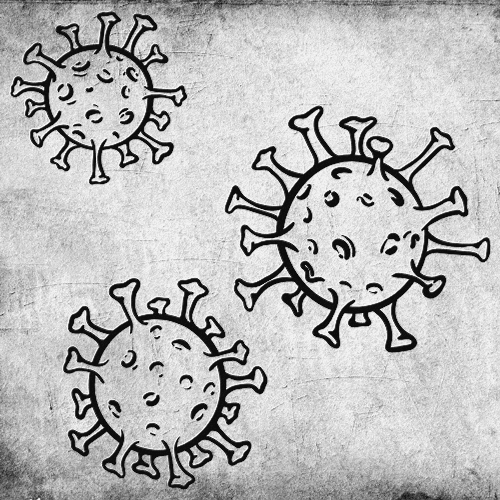 Les grands principes de la survie en milieu naturel