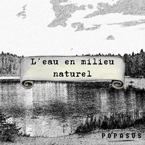 Les fondamentaux de la survie en milieu naturel
