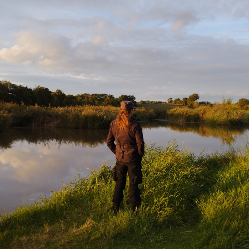 Marais